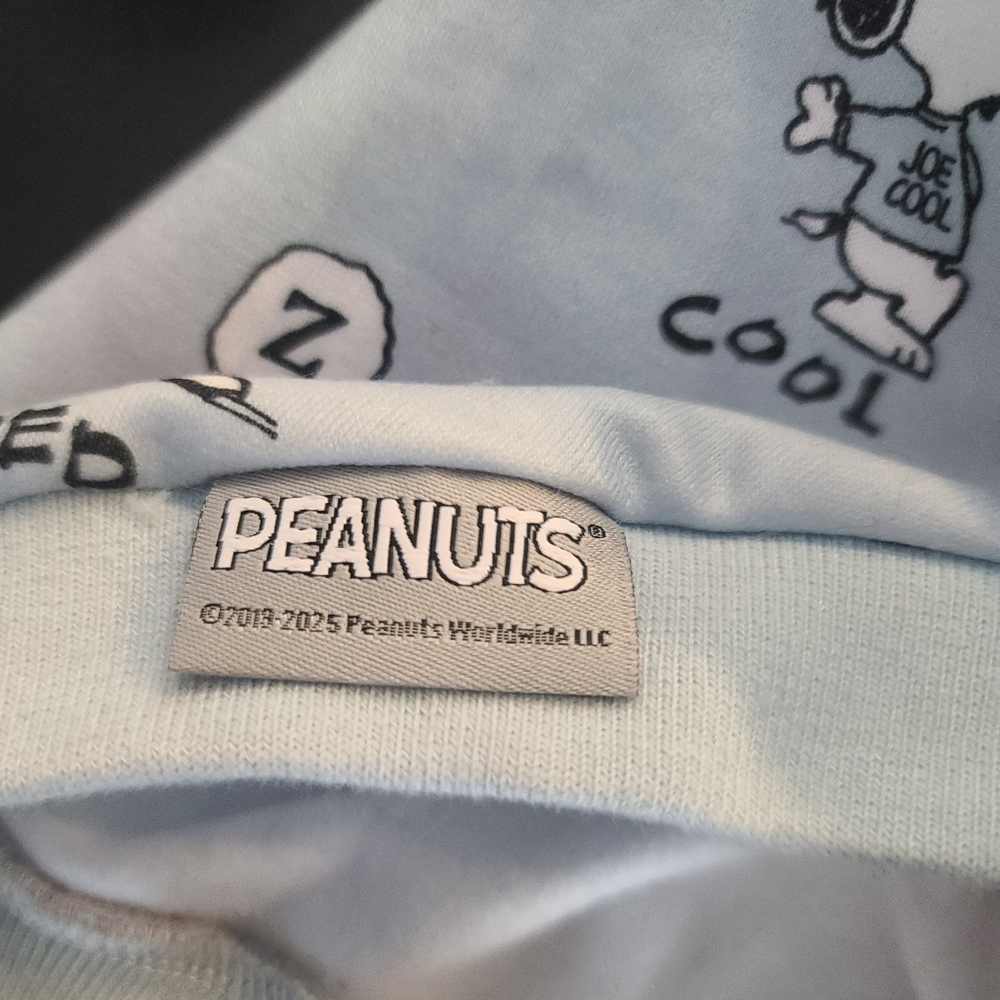 Nwot Snoopy Light Blue Dog Hoodie. Small, Fits Like A Medium - Picture 8 of 10